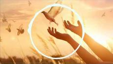 План планувах мило чадо-Лиляна - Videoclip.bg