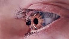 CCh 4 First Look - Teaser #2 - Videoclip.bg