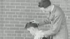 Проект Джени, проект Ян!!! 320 - Project Jenny, Project Jan - Videoclip.bg