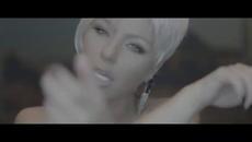 КАМЕЛИЯ - НЕ ТЕ ЗАБРАВИХ - Videoclip.bg