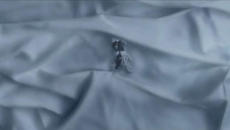 Loreen – „Heal“ (творческа интерпретация) - Videoclip.bg