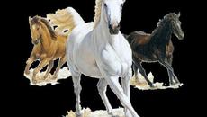 Сергей Чекалин   -   А годы проходят, все лучшие годы - Videoclip.bg