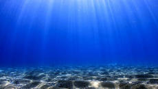 Музика в Звукът на Любовта... ~ ღ ~ ... - Videoclip.bg