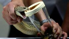 Знаете ли кои са най-опасните професии в света (ВИДЕО) - Videoclip.bg