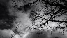 Камен Тодоров – „Меланхолия“ (поезия) - Videoclip.bg