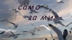 Прашинки във вятъра ♫ 1ღS Kansas Dust In The Wind ~ ПРЕВОД ♫ 1ღ S ~ - Videoclip.bg