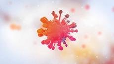 NEW Pro Max products series - Videoclip.bg