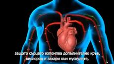 Влияние и преодоляване на Cтрес - Videoclip.bg