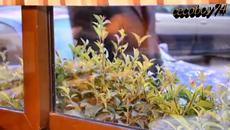 Πάνος Ψάλτης - Νιώσε Με - почувствай ме - Videoclip.bg