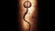 Resurrection - Videoclip.bg