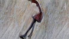 Остани в сърцето ми . Sophie Zelmani - Stay with my heart - Videoclip.bg