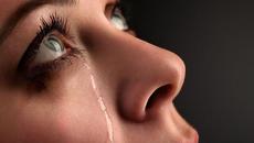 Обичай това, което имаш...Приказка за живота - Videoclip.bg