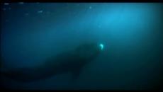 Vangelis - Antarctic Echoes - Videoclip.bg