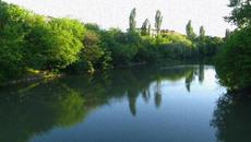 Камен Тодоров – „Край Тунджа, в парка“ (поезия) - Videoclip.bg