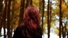 Дивата роза ~ Where the Wild Roses Grow ~ Nick Cave-Kylie Minogue ПРЕВОД - Videoclip.bg