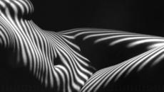 Мартенски градини ~I giardini di Marzo - ПРЕВОД *Tiziana Ghiglioni - Videoclip.bg