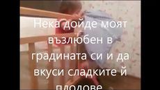 For Sulamithe - Videoclip.bg