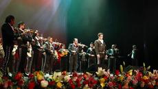 Mariachi Google Doodle for celebrating Regional Mexican Music - Videoclip.bg