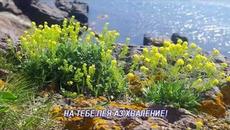 Когато Ти ми каза - Videoclip.bg