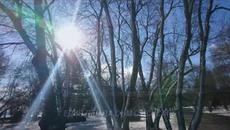 Грешна съм , Боже - Videoclip.bg