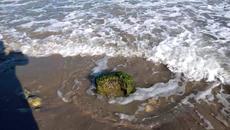 Морето е синьо и небето е синьо...аз и света сме в синьо - Videoclip.bg