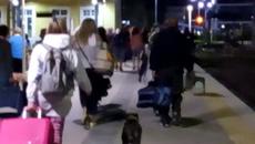 Рано сутринта на гара Бургас с нощният влак от Пловдив - септември 2020 г. - Videoclip.bg