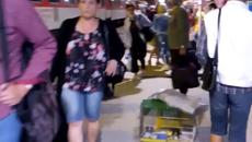 Ужас...всичко е възможно!!! Кой ще пътува с пъдпъдък във нощият влак - Videoclip.bg