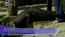 Глория - Крепост - Музикален Хит 2013 / 2014 ! - Videoclip.bg