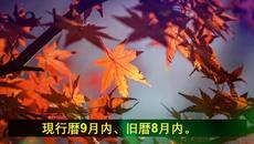 Есенен сезон 2020 Честита златна есен с Гугъл за всички (First day of fall) Есен 2020 Google Doodle - Videoclip.bg