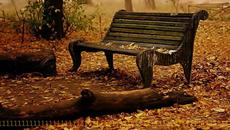 Честита първа есен - Persian piano Fariborz Lachini - Golden Autumn - Videoclip.bg