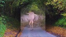 Itaktak Mo by Joey De Leon - Videoclip.bg