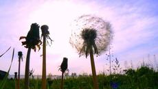 Роден да докосва чувствата ти ~ Scorpions  Born To Touch Your Feelings - Videoclip.bg