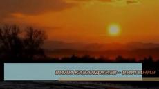 Вили Кавалджиев - Виргиния - Videoclip.bg