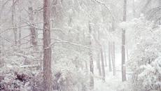 Призоваване От бледо белите утрини!!! Summoning - Of Pale White Morns and Darkened Eves (Lyrics) - Videoclip.bg