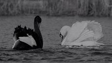 Камен Тодоров – „Ти ме върна“ (поезия) - Videoclip.bg