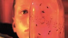 Аз съм далеч!!! I Stay Away - Videoclip.bg