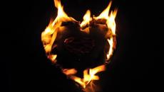 Любов за теб ~ ღ Amore Per Te - Mango - Videoclip.bg