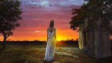 Васил Найденов - Адаптация - Videoclip.bg