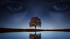 Милена - Истина - Videoclip.bg