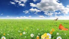 ~ ღ. Небето е за всички ... ~ ღ ~ ... - Videoclip.bg