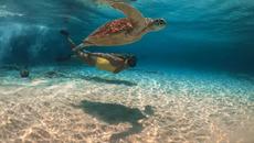 Морето е толкова синьо ~ Плувай ...гмурни се и ти (ВИДЕО) - Videoclip.bg