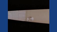 Камен Тодоров – „Лошият знак“ (поезия) / Whitesnake – „Fool For Your Loving“ (1989) - Videoclip.bg