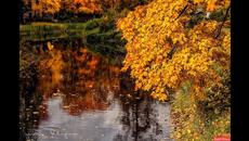 ОСЕНЬ В МОЕМ СЕРДЦЕ.... - Videoclip.bg