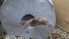 MVI_0018.MOV - Videoclip.bg