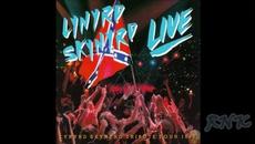 Lynyrd Skynyrd Southem by the Grace 1987 Full album - Videoclip.bg