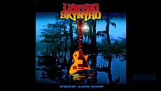 Lynyrd Skynyrd Then and Now Vol I 2000 Full album - Videoclip.bg