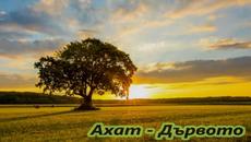 Ахат - Дървото - Videoclip.bg