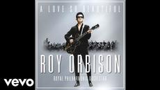 Roy Orbison - A Love So Beautiful (With The Royal Philharmonic Orchestra) (Audio) - Videoclip.bg