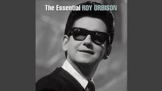 Roy Orbison - You Got It - Videoclip.bg
