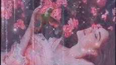 Mina  Mazzini - Mi mandi rose - Videoclip.bg